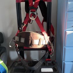 Proteca Harness Red/black