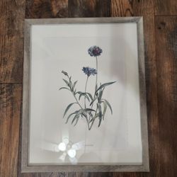 3 Vintage Flower Paintings Original Price $184