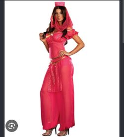 Genie womens costume