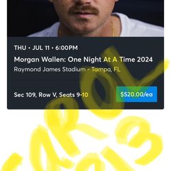 Morgan Wallen Concert tickets Tampa Section 109