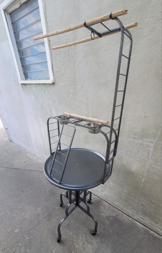 Parrot Stand