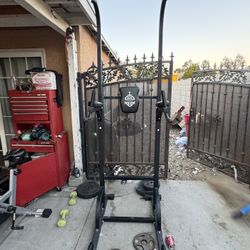Pull Up And Dip Power Tower