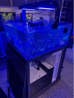 Reef Tanks - UNS R90 and UNS R80