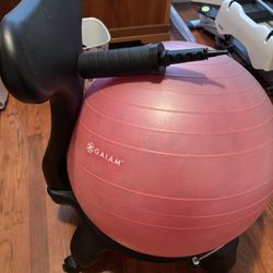 Gaiam Balance Ball Chair