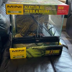 Eco Terra Terrarium 