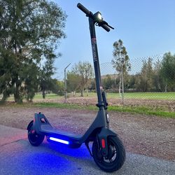 Electric Scooter 