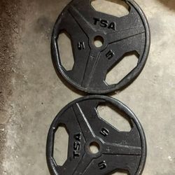 5 Lb Weight Plates 