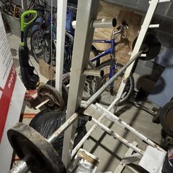 Bench Press