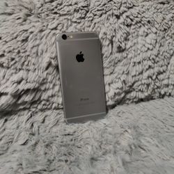 iPhone 6