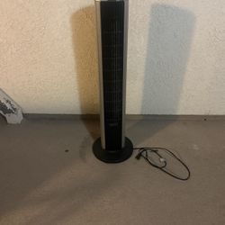 Fan