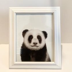 Framed Gender Neutral Kid's Room Wall Art | Panda