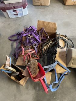 Horse Tack