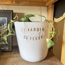 Heavy Ceramic French Farmhouse White Glazed Planter Pot  10.5”