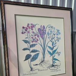 Vintage Botanical Fine Print Artwork (LARGE)