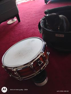 REMO  "Master Touch" snare with case