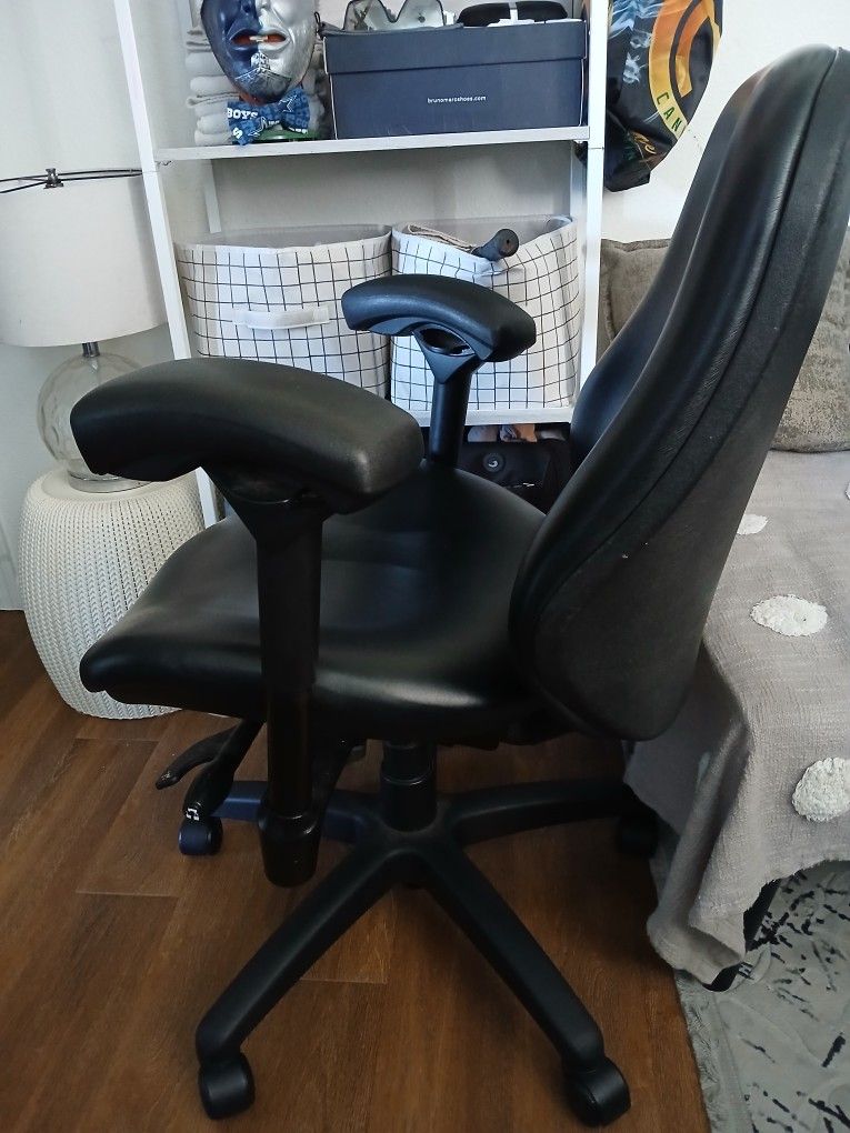 Ergogenesis Office Chair