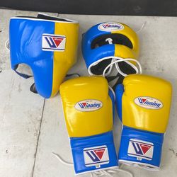 Winning boxing set