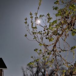 Room Darkening Shades