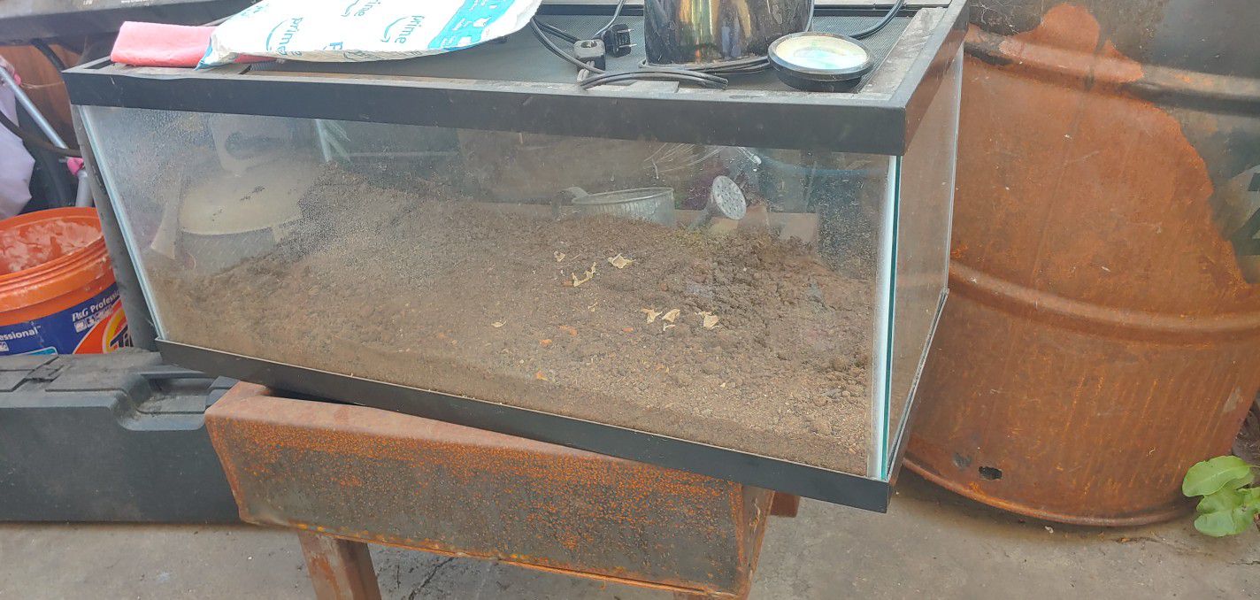 Free fish / reptile 5 gallon tank with lid and lamp.