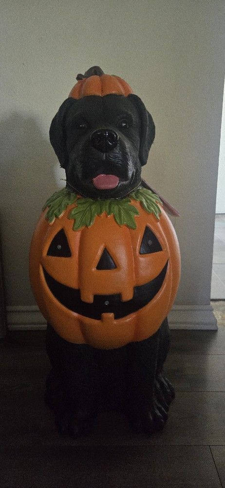 π 2.5 ft Home Accents Holiday LED Labrador in Pumpkin Costume BlowMold β Halloween DΓ©cor πΆπ