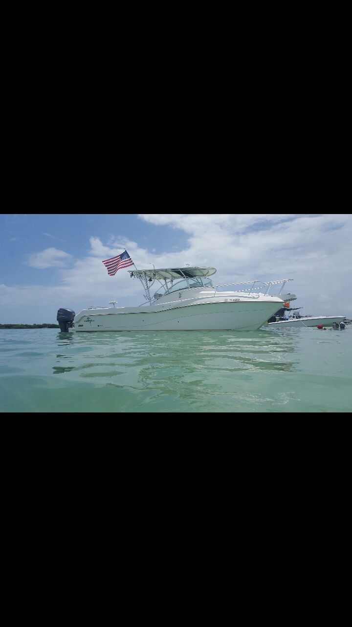 Hydrocat 300x