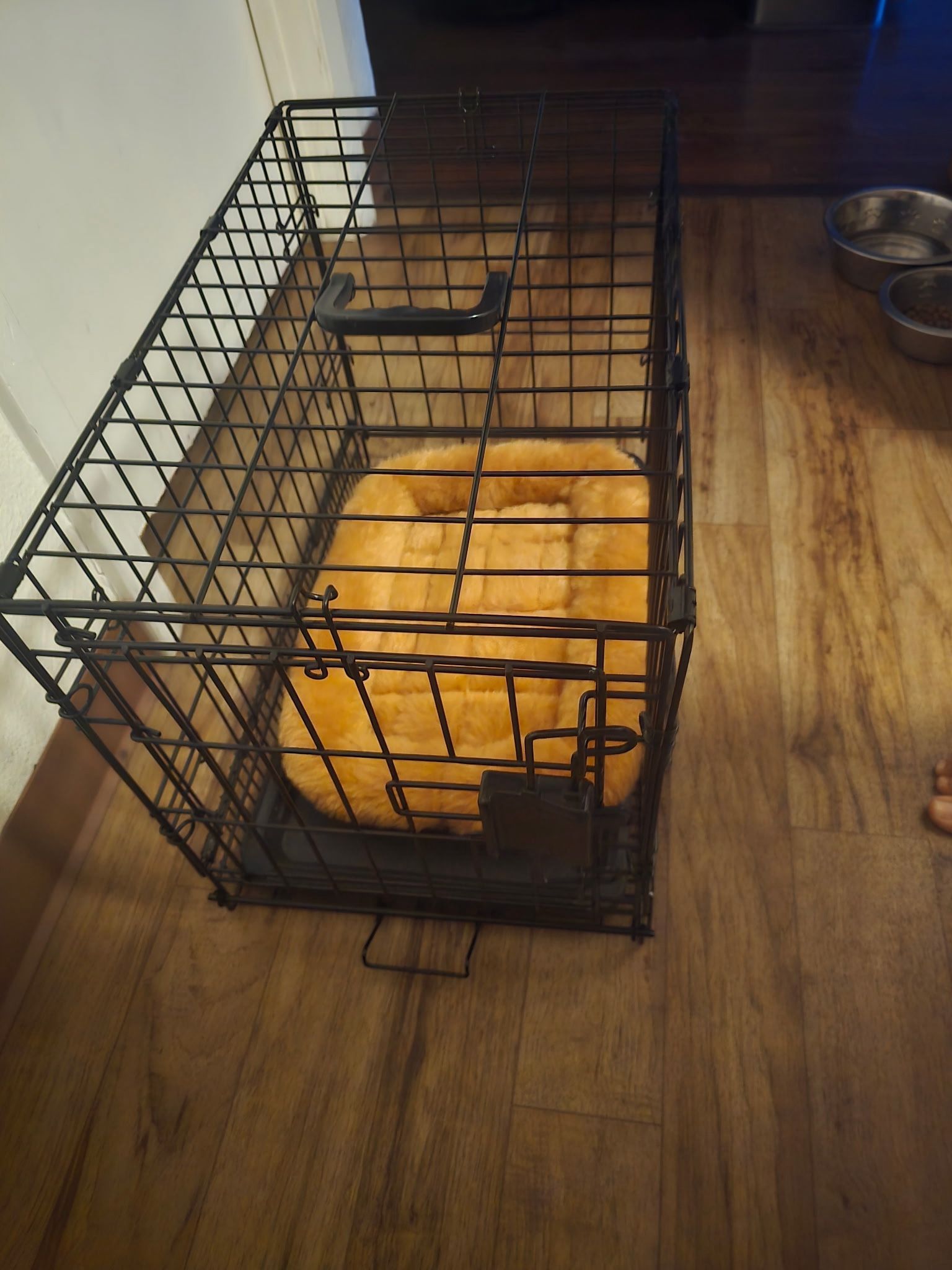 Dog Cage