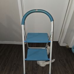 2 step blue ladder