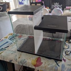 Double Fish tank - Best For Beta Fish. 