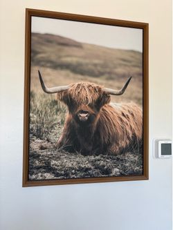 western decor frame
