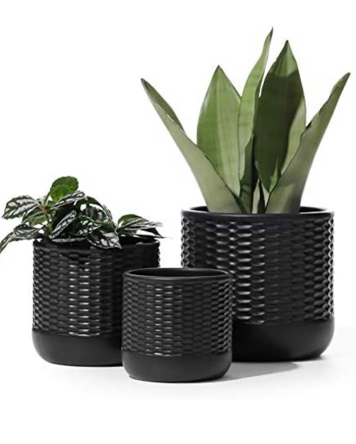 Outdoor/Indoor Ceramic Succulent Pot with Drainage