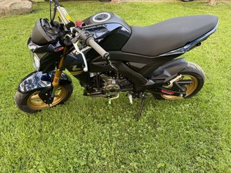 2023 Kawasaki Z 125pro