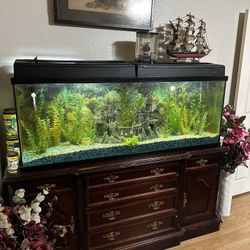 Fish Tank With Giant Cabinet & Accessories 