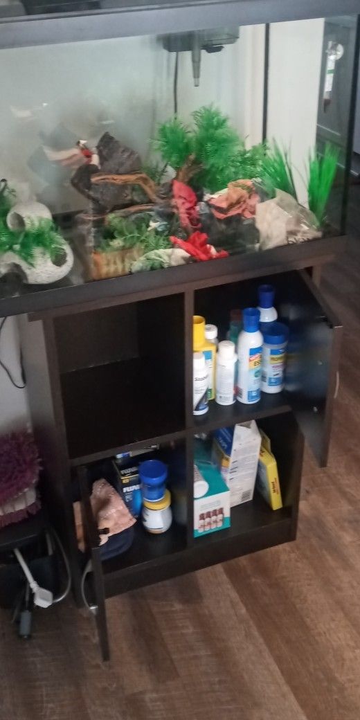 20 Gal aquarium INCLUDES EVERYTHING!!