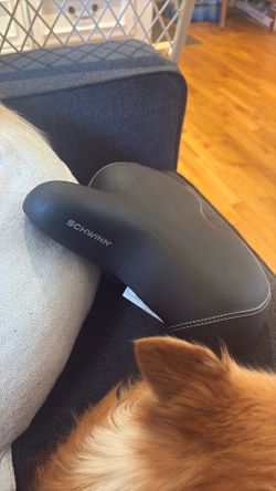 SCHWINN BIKE SEAT