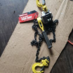 Chain hoist