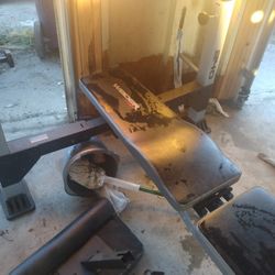 Joe Wieder Weight And Bench