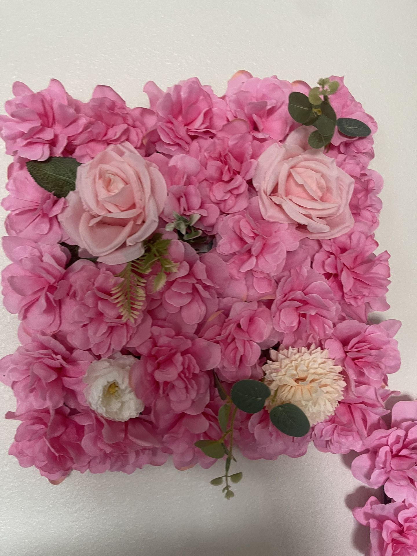 Flower Background ( Backdrop)
