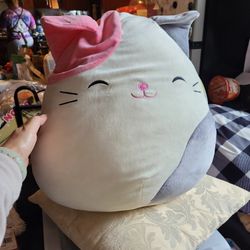Pillow.  Toy