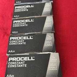 Procell AA24 Batteries 