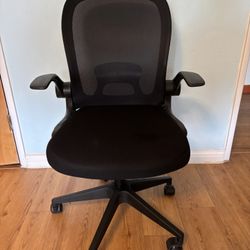 Office/Desk chair