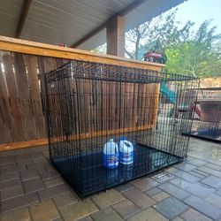  Dog Kennel 