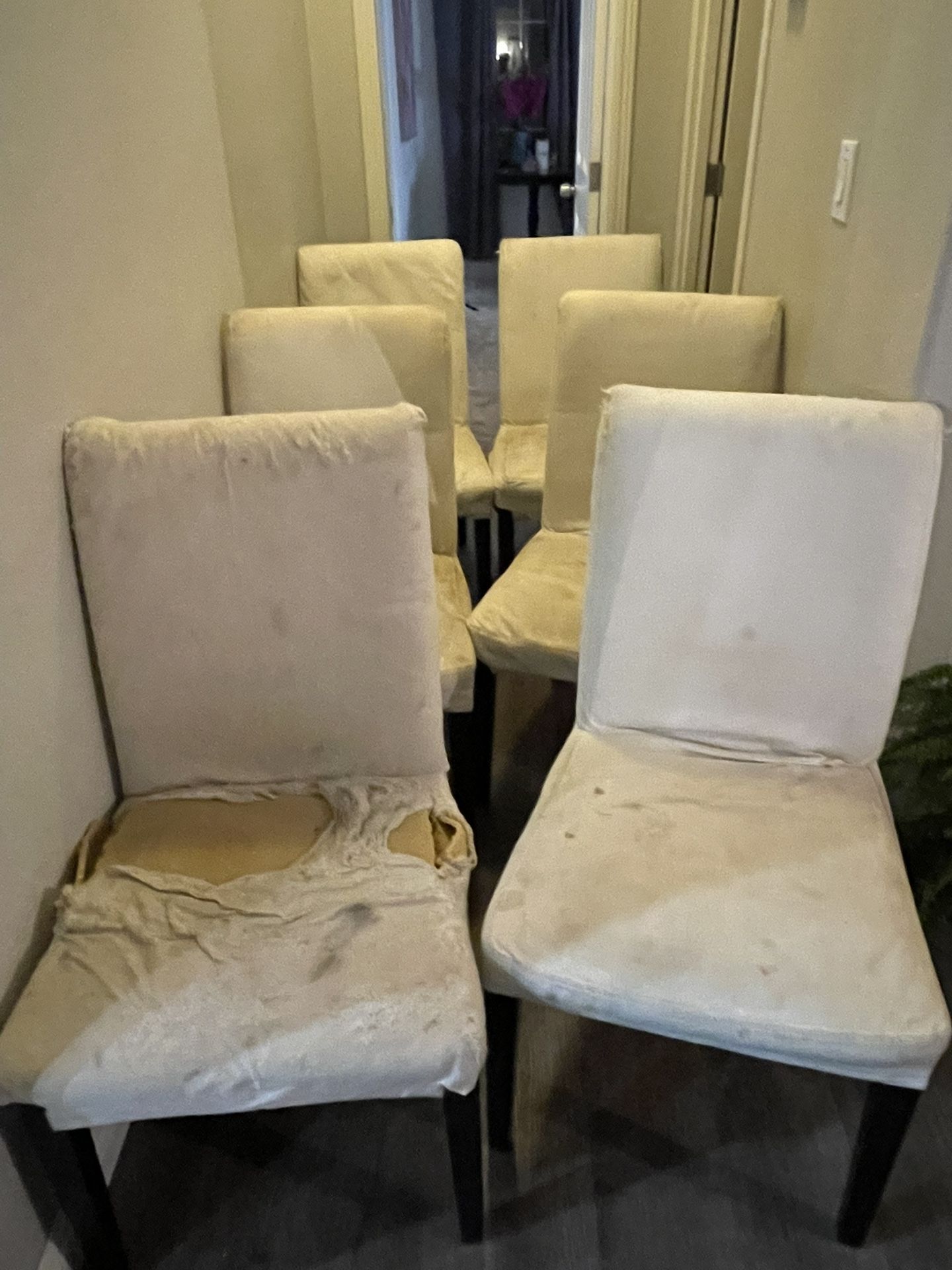 6 White Chairs – Scratched Up but Usable