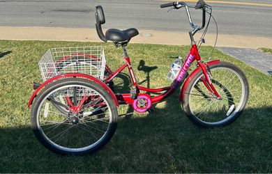 Adult Tricycle