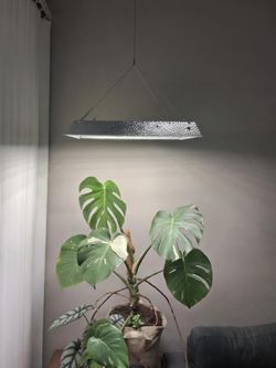 LED Plant Light Mars Hydro TS600