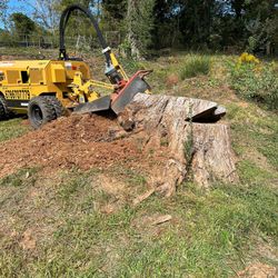 Stump Grinding 