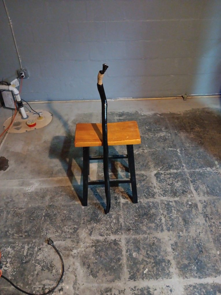 Handmade Walking Cane