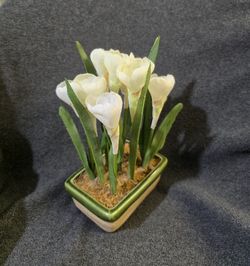 Artificial Silk Plant in Ceramic Planter