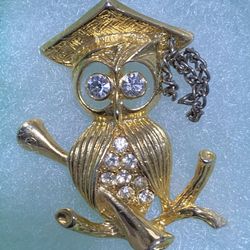Graduation Owl Brooch Or Pin