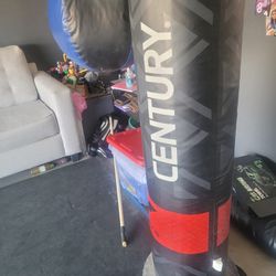 Punching Kicking Grappling Bag
