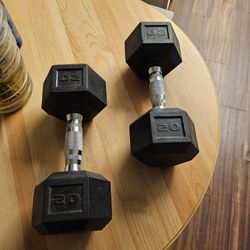Dumbbells  20 Pounds 